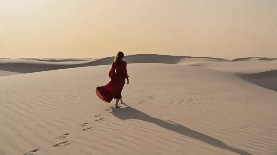 seedance 2.0 image to video ai